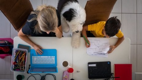 Всички ученици от София и от общини в пет области преминават в онлайн обучение