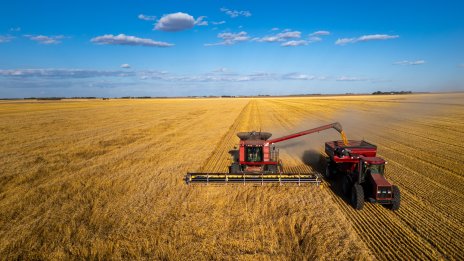Изминалата седмица показа устойчивостта на световните стокови пазари