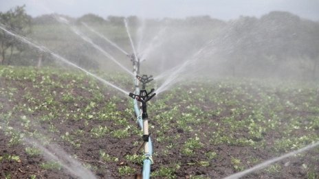 С 5 млн. лв. са нараснали задълженията на "Напоителни системи" за 8 месеца