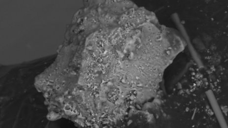 Лунен прах от мисията "Аполо 11" беше продаден на търг за над 500 хил. долара