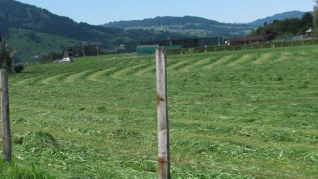 Цената на земята в сделките на "Елана Агрокредит" достигна 1869 лв. на декар 