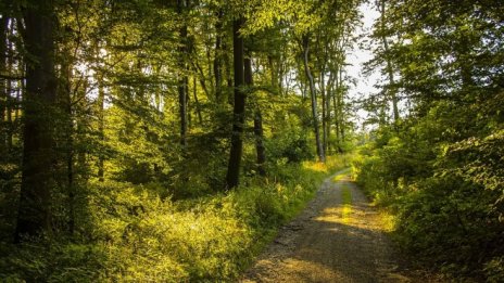 Според природозащитници зоните "Натура 2000" са застрашени