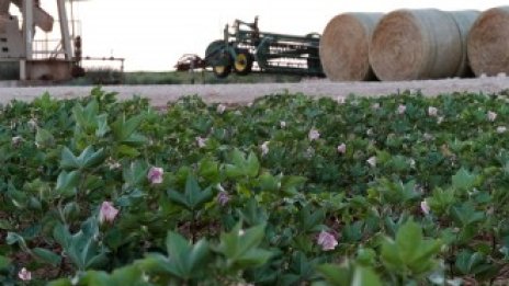 Слабите икономически данни на Китай повлякоха надолу цените на петрола*