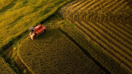 Използваната земеделска площ у нас е нараснала с 9% през последните 10 години