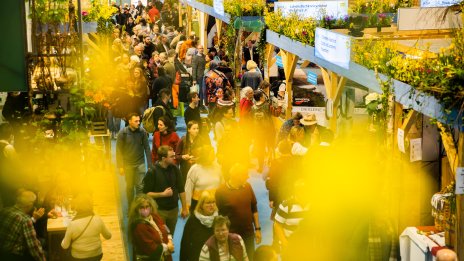 Германските потребители са най-оптимистично настроени от година насам