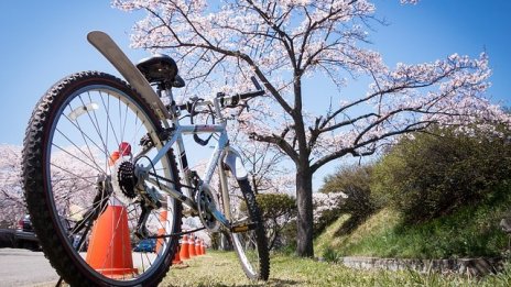 Все повече българи полагат грижи за по-чиста околна среда