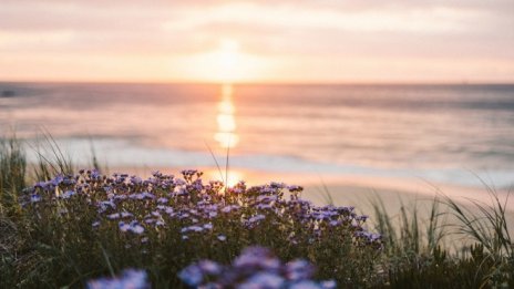 Графика на деня: Парите са най-големият проблем за пътуванията това лято