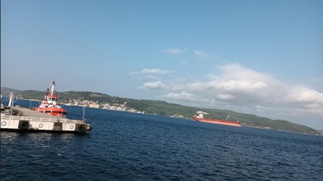 Т. Дечев: Руският газ може физически да се върне в Европа като обезщетение за Украйна