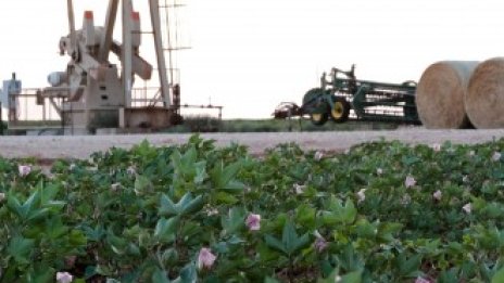 Повишение в предлаганото количество разколеба цените на петрола*