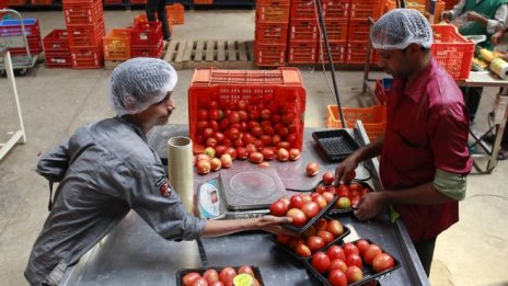 Alibaba подкрепи индийски онлайн търговец с 300 млн. долара