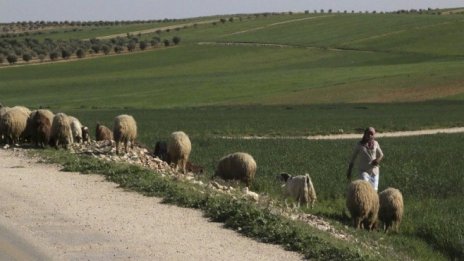 България и Саудитска Арабия създават съвместна земеделска компания
