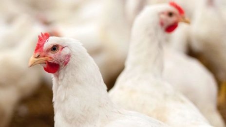 "Градус" отчита 17,5% ръст на печалбата към края на септември