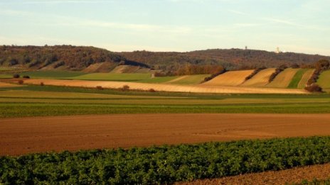 Депутати гласуваха нови изменения в Закона за ползването на земеделските земи