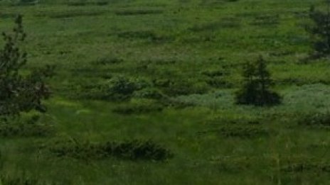 Исторически рекорди за цената на земеделската земя във Великобритания