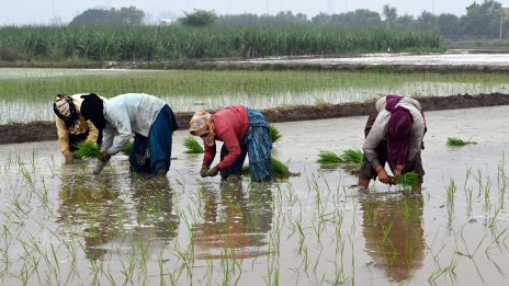 Кадър на деня за 2 юли