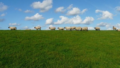 Рестрикциите за животни в Странджа остават в сила до 28 декември