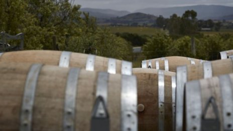 Австралия подава жалба в СТО заради китайските мита върху износа на вино