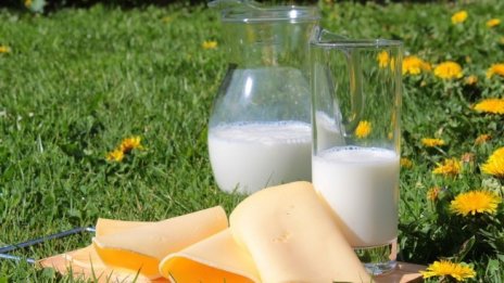 Младен Стоянов: С ултразвук анализираме млякото и методът откри световна ниша