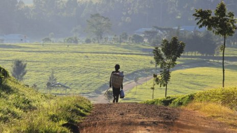 ООН: Богатите държави са далеч от справянето с бедността и неравенството