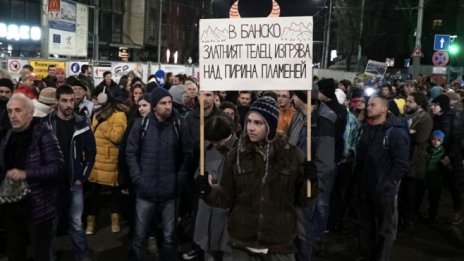 Не искаме строежи, а диви таралежи