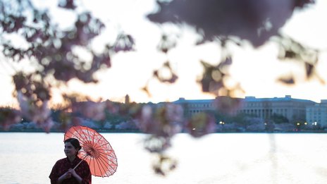 Кадър на деня за 27 март