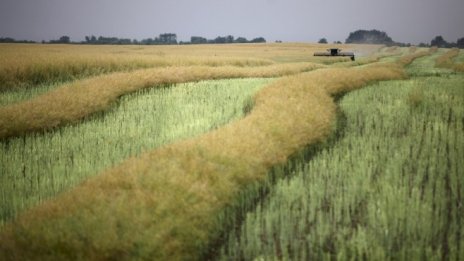 Фермери ще пишат заедно българската позиция за земеделието след 2020 г. 