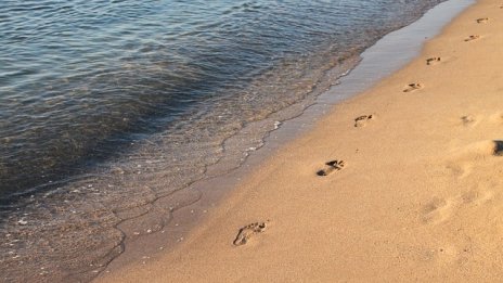 Стартират процедури за концесия на три плажа в община Варна