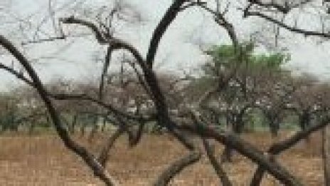 Покачването на температурите в Европа увеличава щетите при имотите