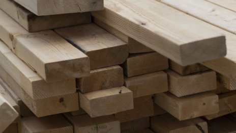 Дървесината, а не златото, може да е следващото любимо убежище на инвеститорите