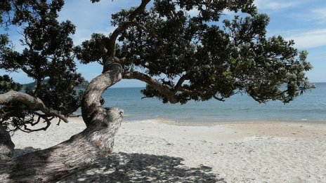 Одобрението на нови плажове за природосъобразен туризъм е под въпрос