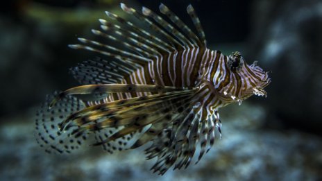 Нова компания за рисков капитал залага на биоразнообразието 