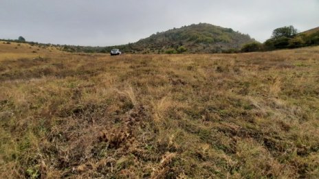 Финансираните сделки за полугодието на „Елана Агрокредит“ падат наполовина 