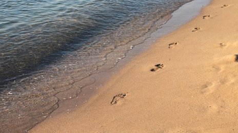 Плаж „Златни пясъци“ ще бъде отдаден на концесия