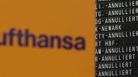 Стачкуващият жерав*