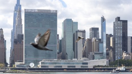 Големият въпрос пред международната общност: Да бъдат ли признати талибаните?