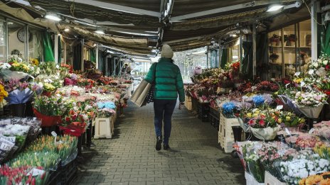 Полша: Не бързаме да приемаме еврото, икономиката е силна и без него