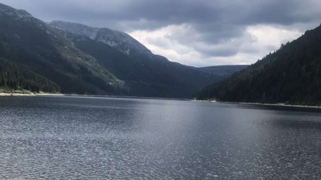 Прокуратурата разпореди проверки за незаконна сеч и строежи до яз. "Искър"