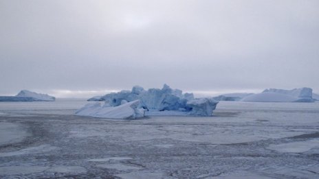 Климатичните промени раждат неочаквани явления
