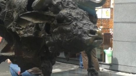 БФБ представя резултатите си на уебинар на 30 януари