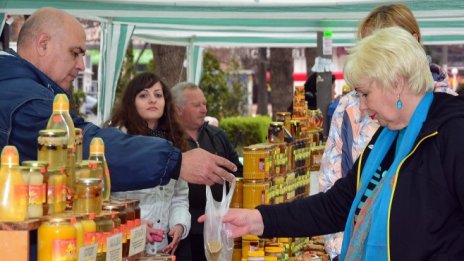 Нова асоциация ще насърчава пчеларите да се регистрират като биопроизводители