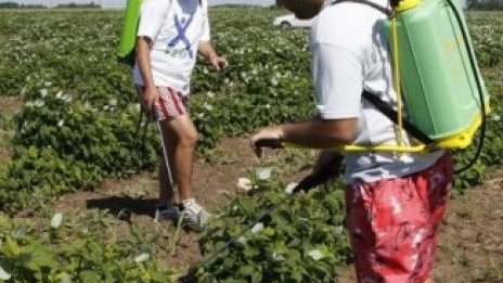 Прехвърлят 40 млн. евро по мярката за създаване на стопанства на млади фермери 
