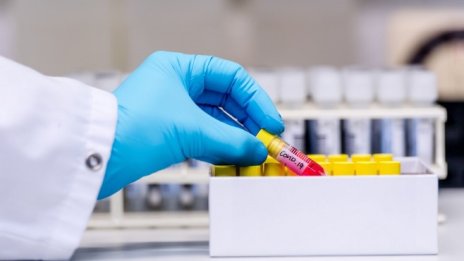 Може ли медикамент срещу краста да помага за лечението на COVID-19