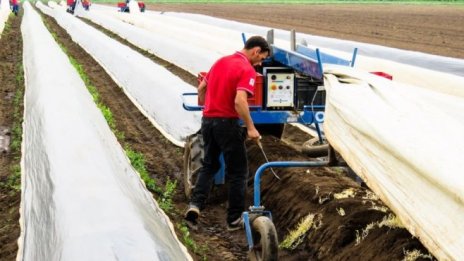 ЕК напомня на държавите членки за правата на сезонните работници