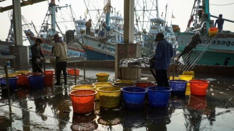 Тайланд се спаси от процедурата за забрана на вноса на риба в ЕС