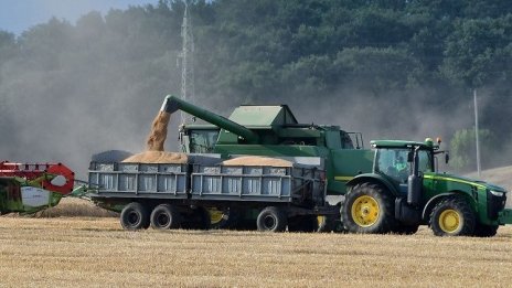 За една година пшеницата поскъпна със 17%