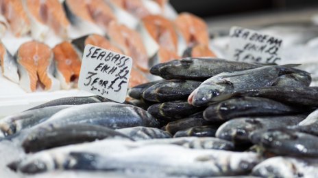 Търговията на дребно се е свила в еврозоната и в ЕС през февруари