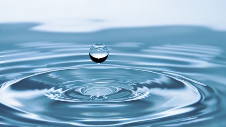 Как конструирани влажни зони пречистват отпадъчни води в бита?