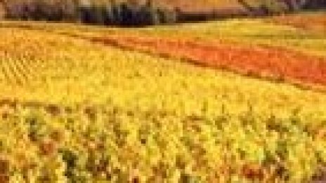 Агро финанс АДСИЦ с 22% ръст на договорените ренти до 28 лв./дка