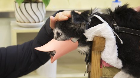 Ограничаването на свободното слово не помага в борбата с омразата