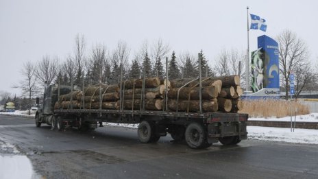 КЗК вече проверява пазара на твърди горива за огрев